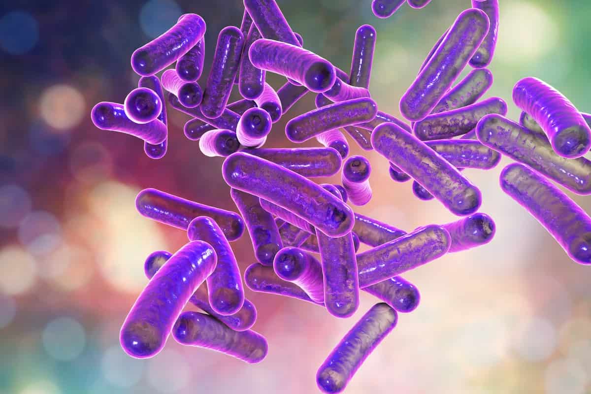 Uma Nova Arma contra Bactérias: Descoberta Revolucionária com Inteligência Artificial