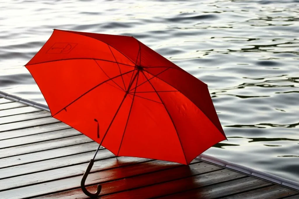 Poucos Sabem: Qual é a Função da Ponta Metálica dos Guarda-Chuva?