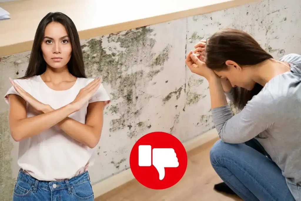 Adeus ao Bolor nas Paredes: Como Preveni-lo de Forma Simples e Rápida