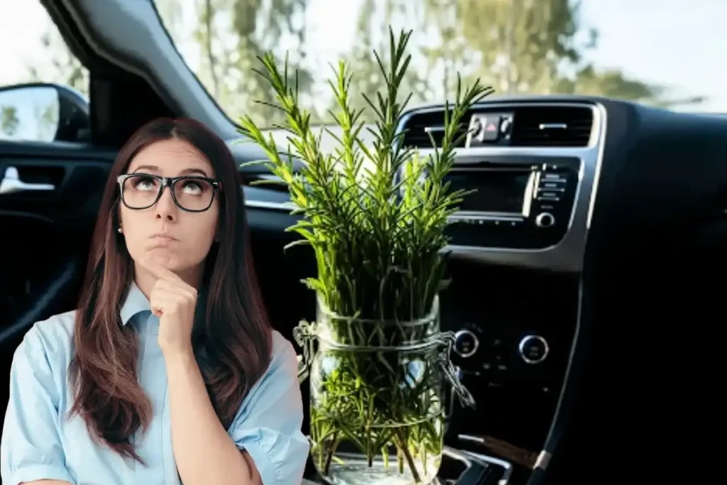 Romero no Carro: Por Que Ter um Frasco e Como Ele Beneficia o Seu Dia