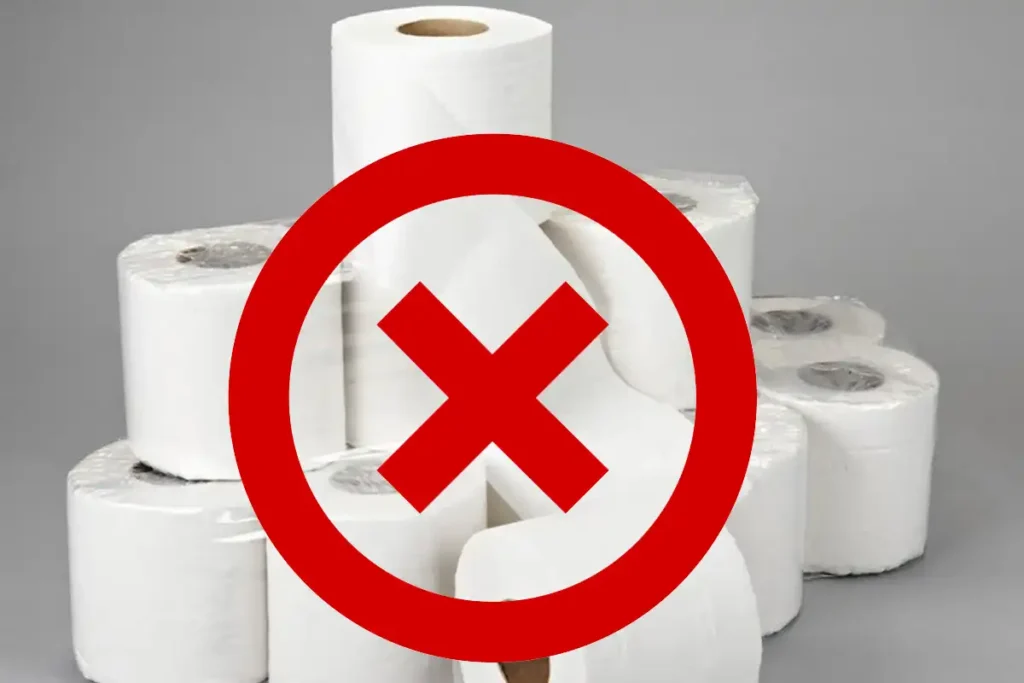 Uma Revolução na Higiene: Washlets, a Alternativa ao Papel Higiénico na Europa